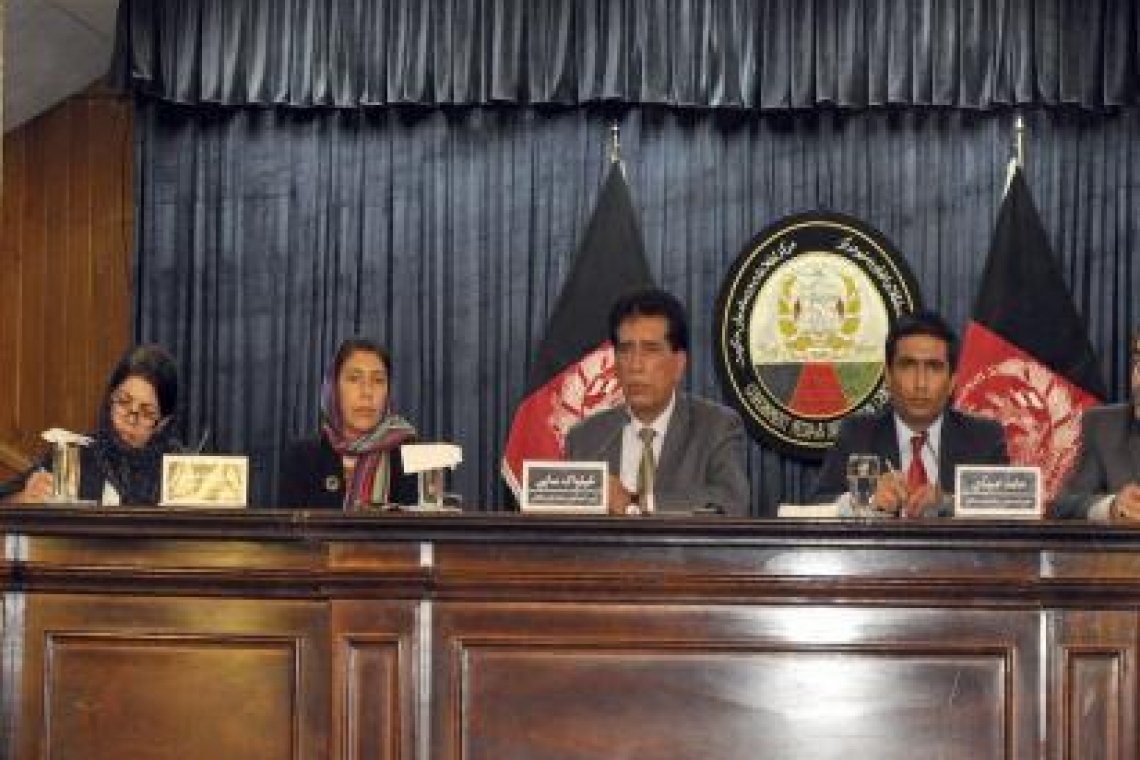  په روان کال کې ۲۵نويو رسنيو د فعاليت جواز تر لاسه کړی دی. 